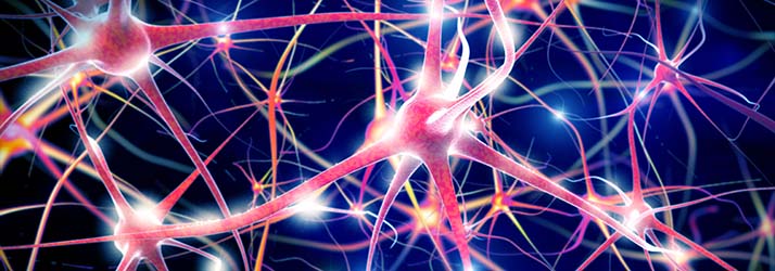 Duluth GA BrainCore Neurofeedback Nerves